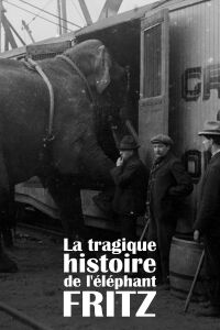 The Tragic Story of Fritz the Elephant (2023)