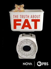 The Truth About Fat (2012)
