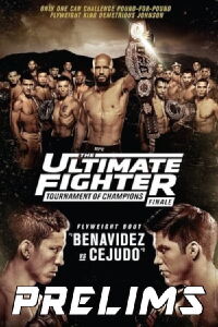 The Ultimate Fighter 24 Finale (2016)