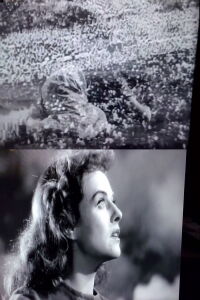 The War of Images (2021)