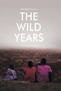 The Wild Years (2013)