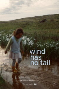 The Wind Has No Tail (2024)