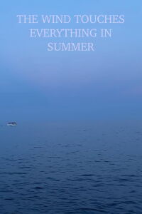 The wind touches everything in summer (2024)