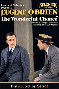 The Wonderful Chance (1920)