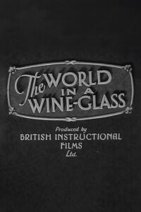 The World in a Wine-Glass (1931)