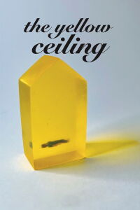 The Yellow Ceiling (2022)