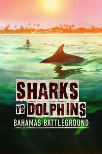 Tiburones vs delfines: batalla en las Bahamas (2023)