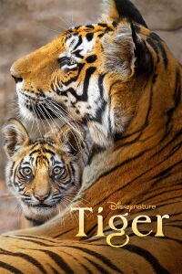 Tigres (2024)