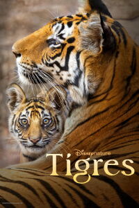 Tigres (2024)