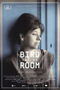 Tirza Atar: Bird in the Room (2015)