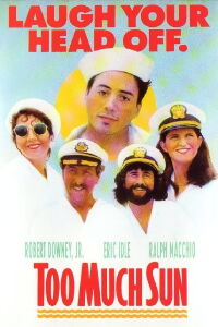 Too Much Sun (1991)