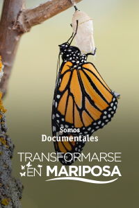 Transformarse en mariposa (2021)