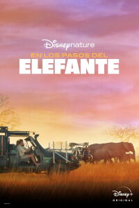 Tras los pasos del elefante (2020)