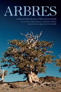Trees (2001)