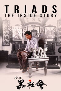 Triads: The Inside Story (1989)
