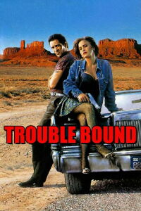 Trouble Bound (1993)