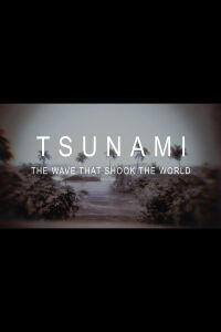Tsunami: la ola que conmocionó al mundo (2024)
