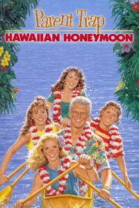 Tú a Boston y yo a California 4: Luna de miel en Hawai (1989)