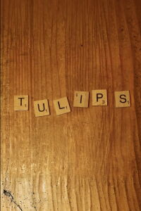 Tulips (2022)