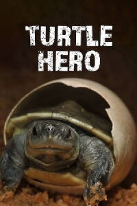 Turtle Hero (2016)
