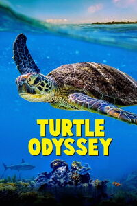 Turtle Odyssey (2018)