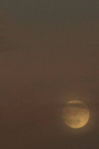 Two Moons (2019)