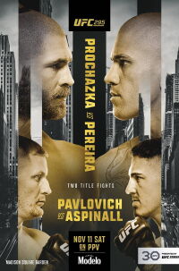 UFC 295: Jones vs. Miocic (2023)