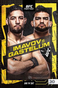 UFC Fight Night 217: Gastelum vs. Imavov (2023)