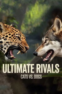Ultimate Rivals: Cats vs Dogs (2017)