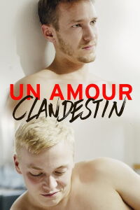 Un amour clandestin (2016)