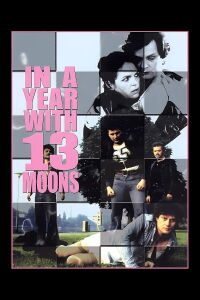 Un año con trece lunas (1978)