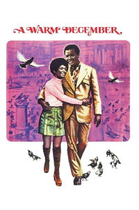 Un cálido diciembre (1973)