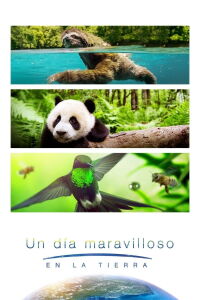 Un día maravilloso en la Tierra (2017)