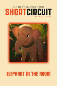 Un elefante en mi cuarto (2020)