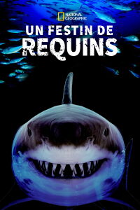 Un Festin de Requins (2019)