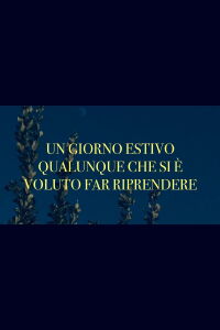 Un giorno estivo qualunque che si è voluto far riprendere (2024)