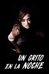 Un Grito en la Noche (2015)