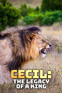 Un lion né pour régner (2020)