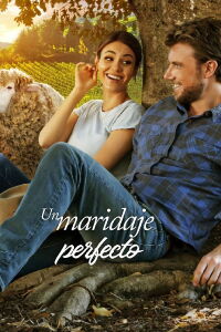 Un maridaje perfecto (2022)