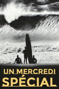 Un mercredi spécial (1978)