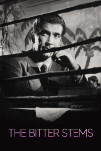 Un meurtre pour rien (1956)