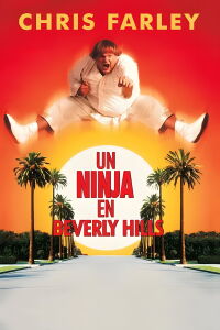 Un ninja en Beverly Hills (1997)