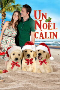 Un Noël canin : La deuxième chance (2011)