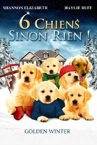 Un Noël de rêve (2012)