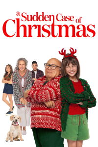 Un Noël en Été (2024)