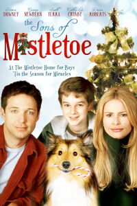 Un Noël pas comme les autres (2001)