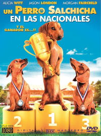 Un Perro Salchicha en las Nacionales (2013)