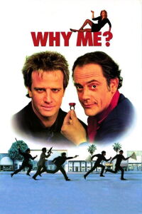 Un plan d'enfer (1990)
