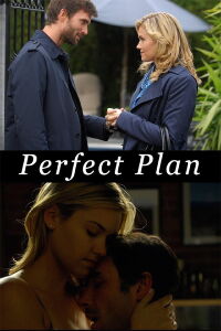 Un plan perfecto (2010)