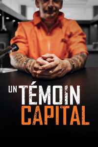 Un témoin capital (2021)